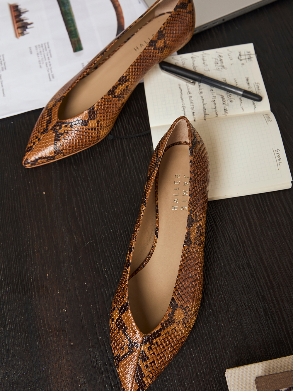The Trap Pump - Python